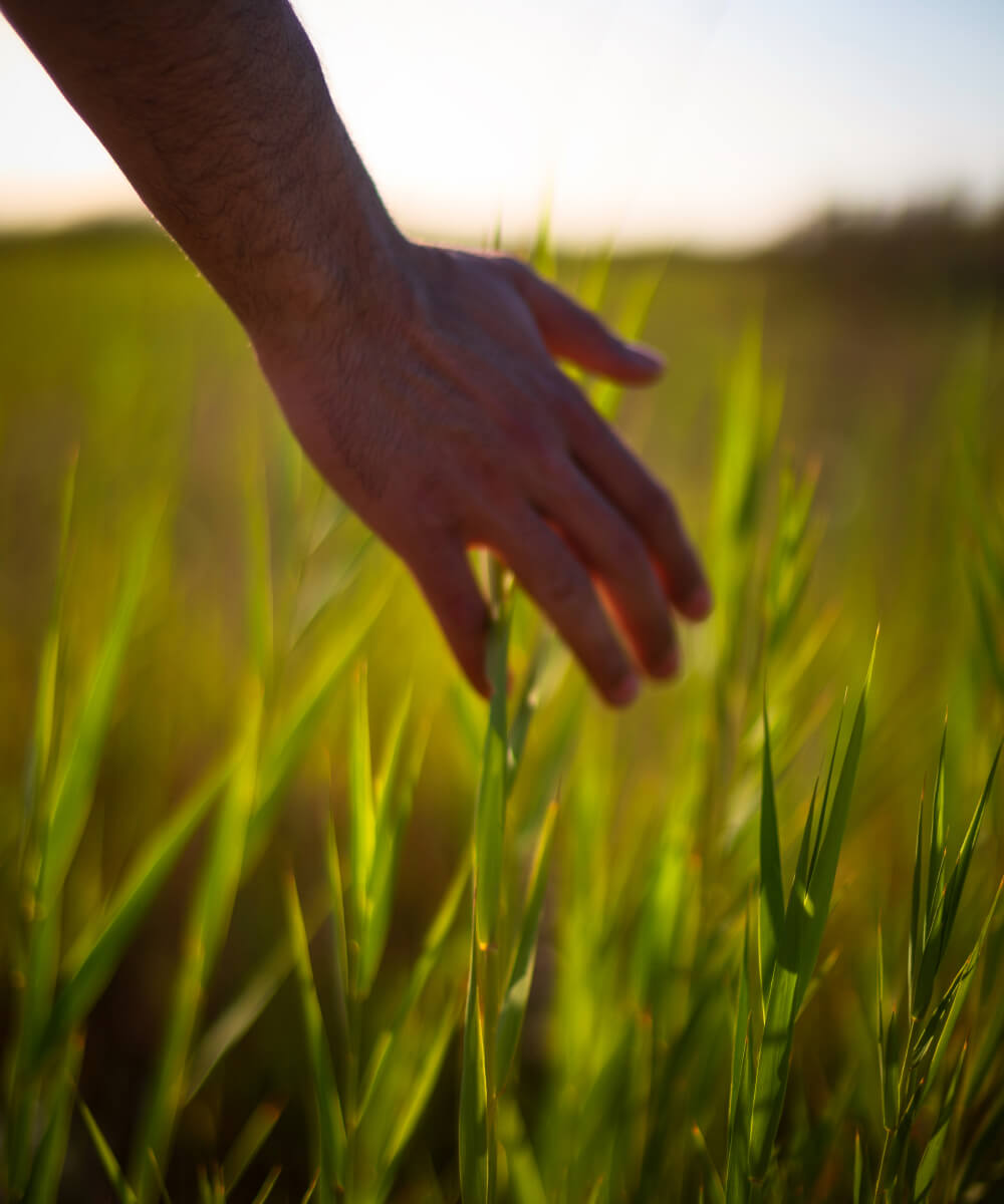 إدارة الصورة الذهنية